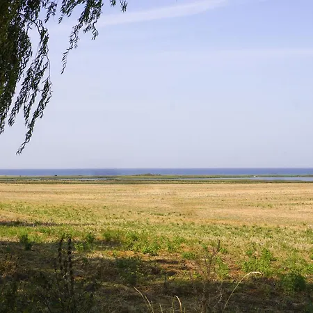 Duenenmeer Apartment Kuehlungsborn